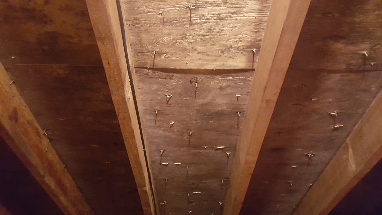 Before mold remediation - roof mold contamination